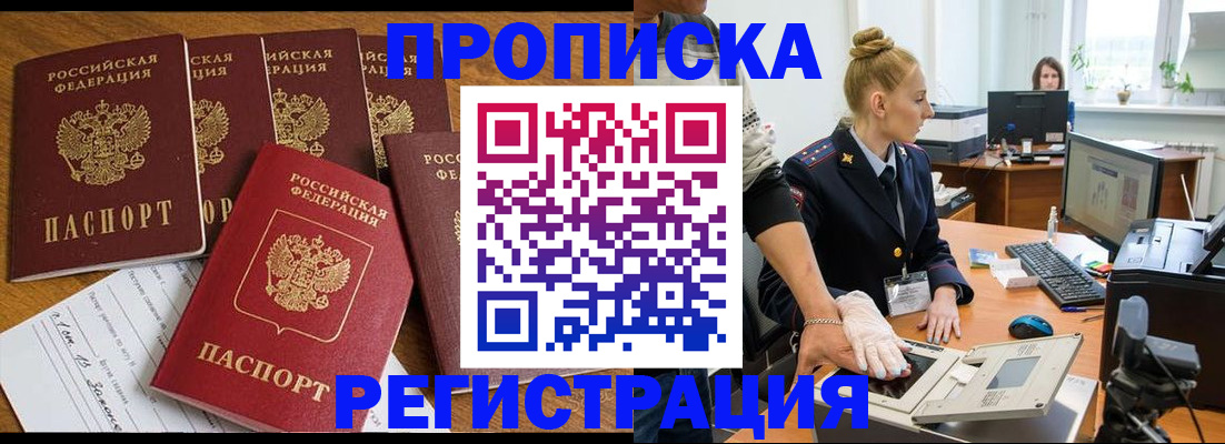 прописка в Сольцах